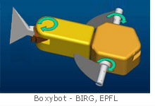 Boxybot - BIRG EPFL