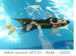 Poisson-robot chinois SPC