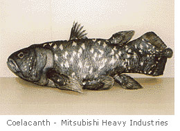 Coelacanth-Mitsubishi