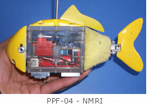 Un Poisson Robot Est Représenté Avec Un Robot Sur Le Dos.