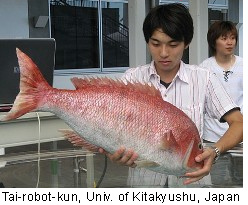 Robotic Red Snapper