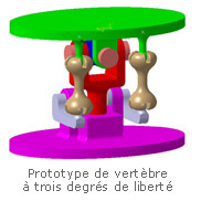 Projet Robea-Anguille